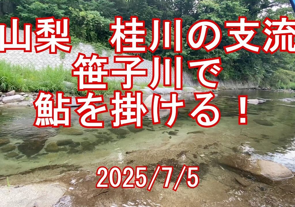 山梨、桂川の支流　笹子川で鮎釣り　2025/7/5
