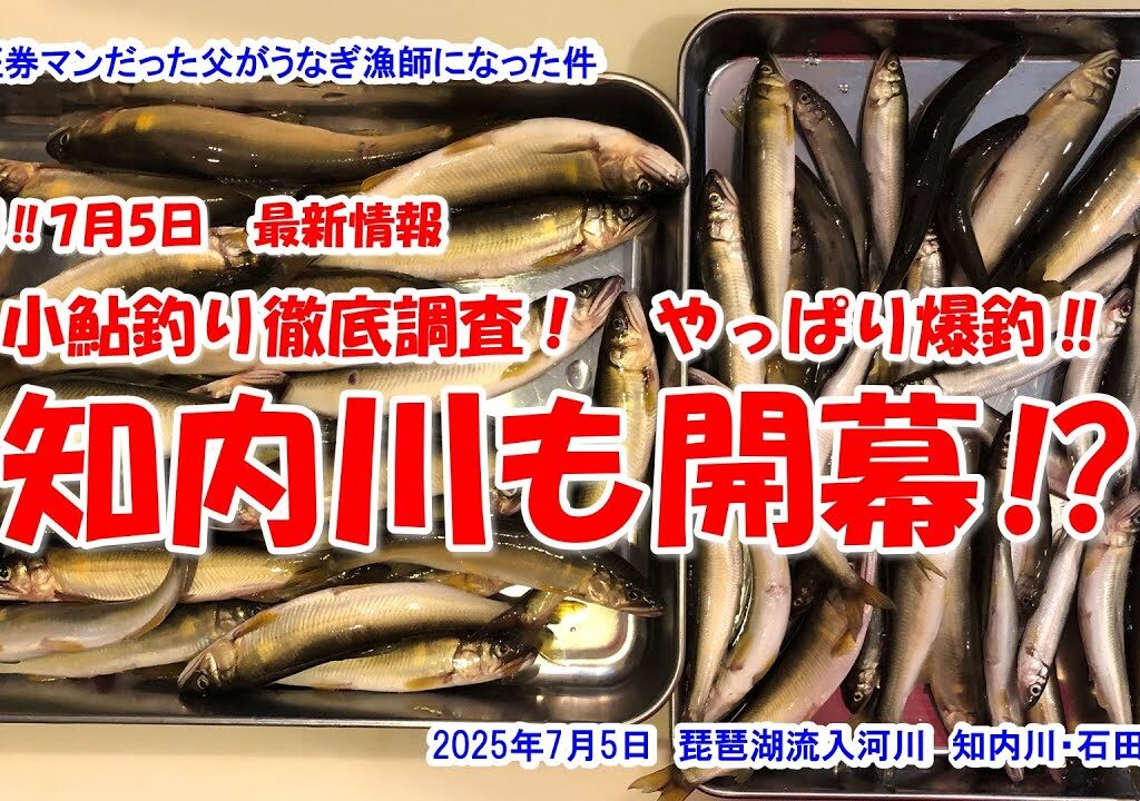 【小鮎釣り徹底調査！やっぱり爆釣‼　知内川も開幕⁉】速報‼2025年7月5日最新情報　琵琶湖流入河川　知内川　石田川