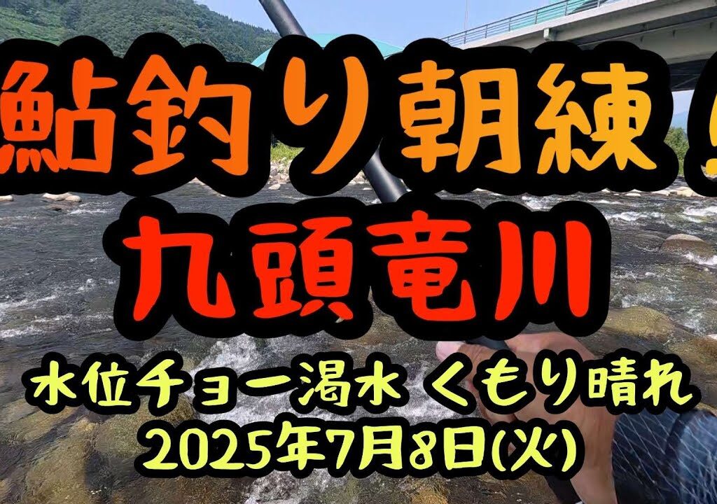 【鮎釣り朝練】九頭竜川　チョー渇水　浅場攻略　2025年7月8日