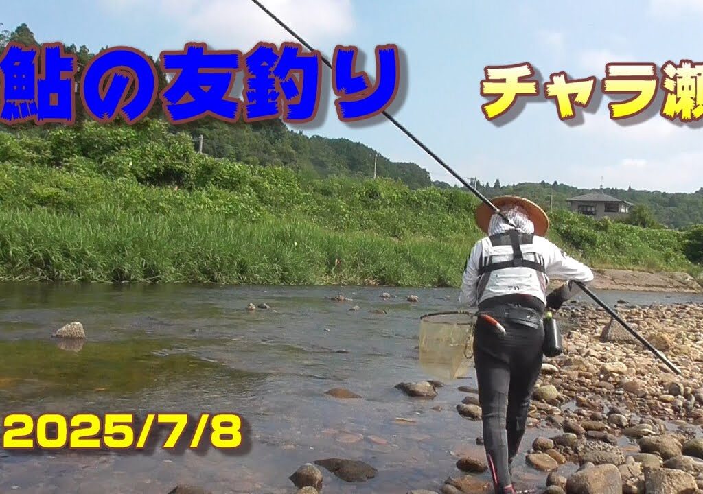 【鮎の友釣り】チャラ瀬 2025/7/8