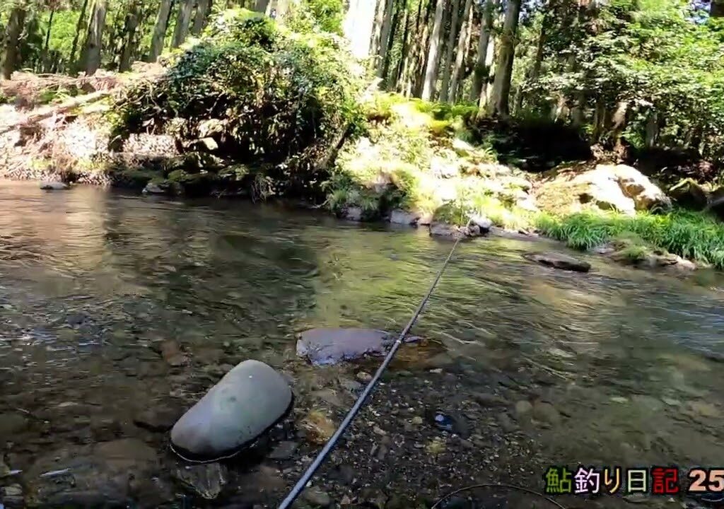 鮎釣り日記 25 7 23