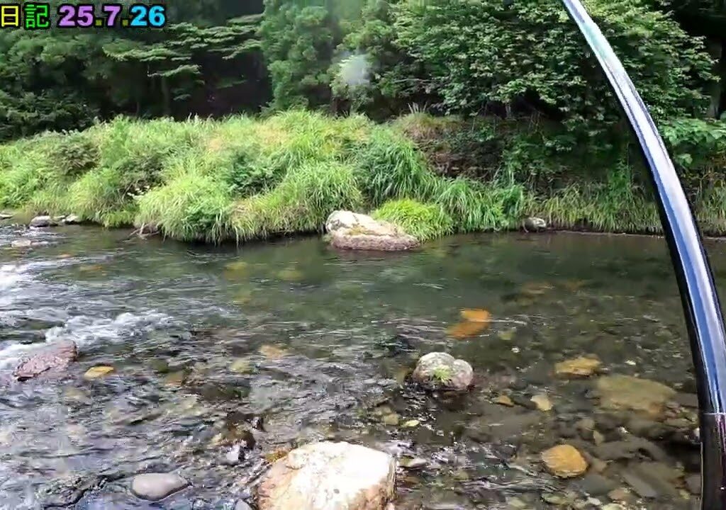 鮎釣り日記 25 7 26 01