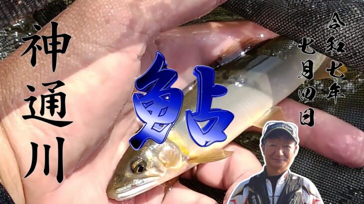 25 7 4 早朝の神通川 鮎