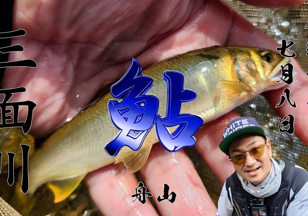 25 7 8 三面川 鮎
