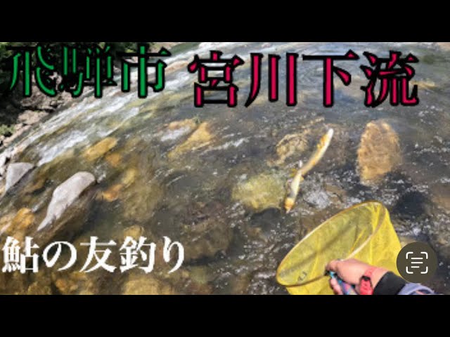 25鮎クエスト③再び宮川下流へ