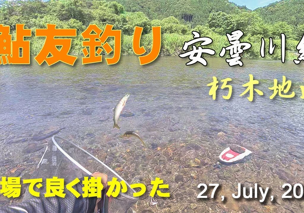鮎友釣り　安曇川・朽木地区  27, July, 2025