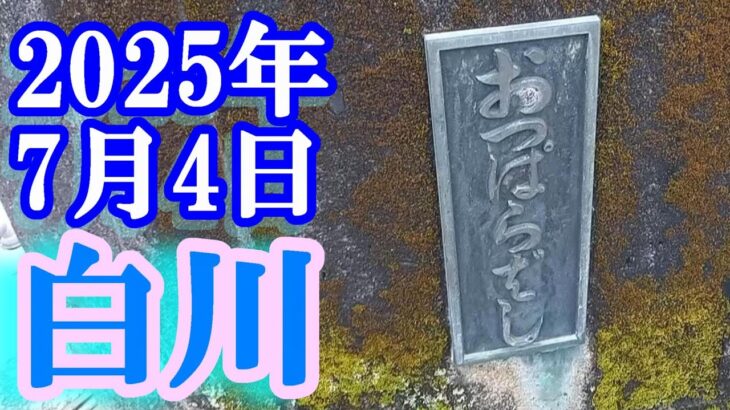 鮎釣り 30cm高引水垢腐れ 越原橋下 新大口橋下 クオーレキャンプ場下 白川  2025年
