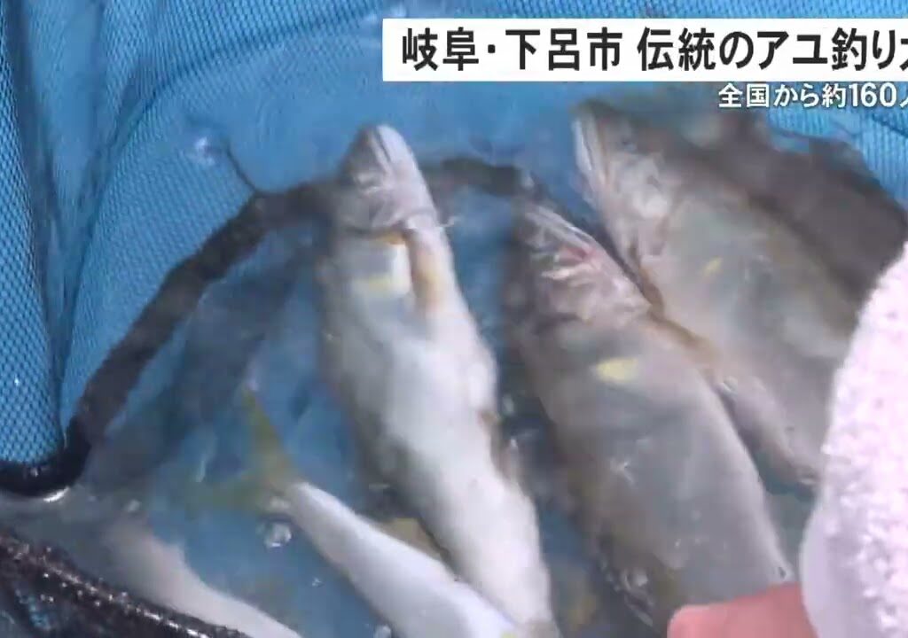 優勝者は3時間で21匹釣り上げる…岐阜県下呂市の馬瀬川で50年以上の歴史があるアユ釣り大会 約160人が参加