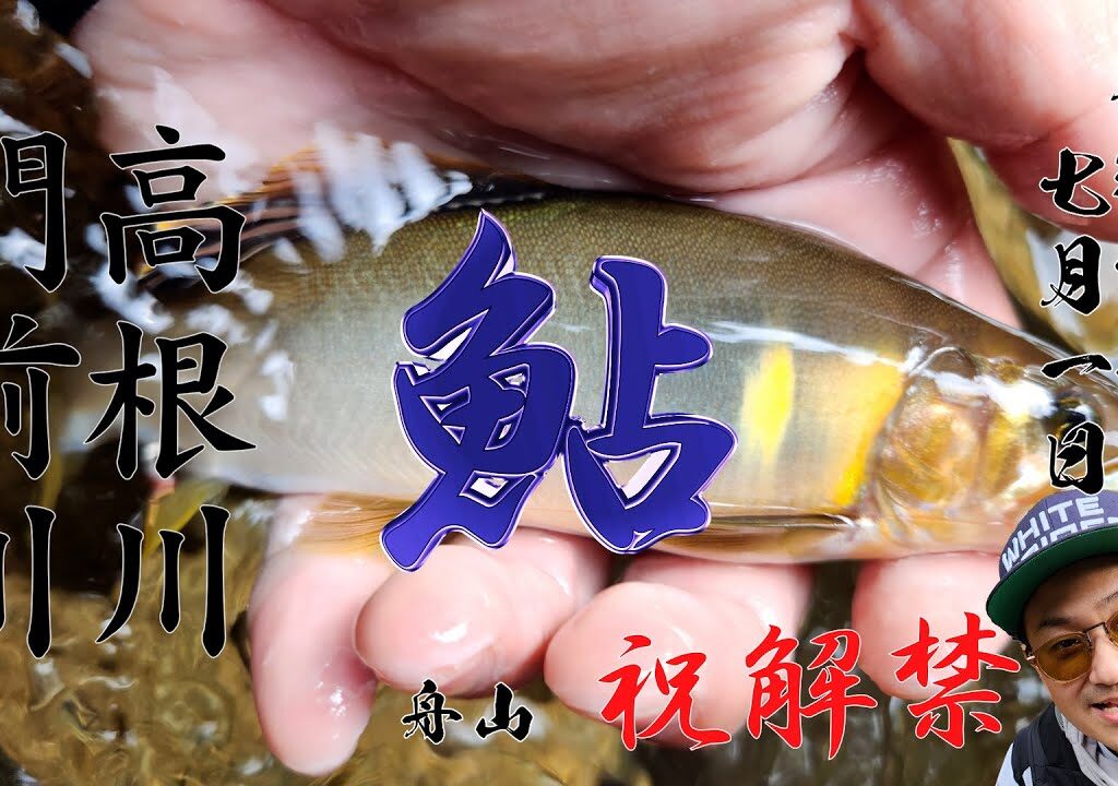 7月1日　三面川支流高根川へ鮎釣りに
