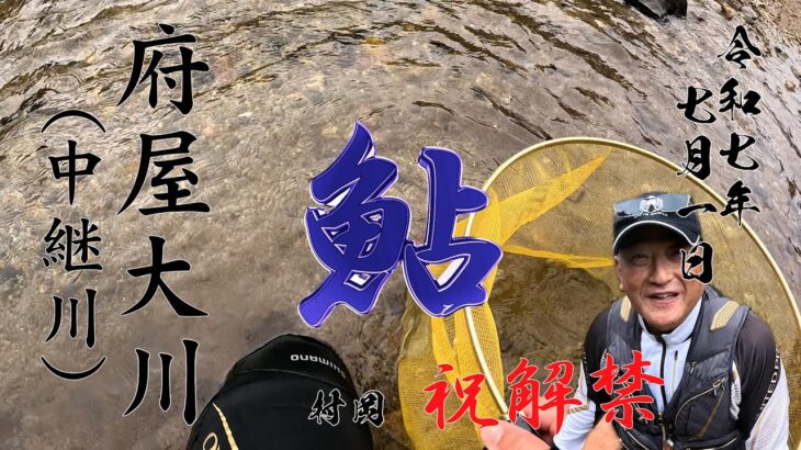 7月1日府屋大川の鮎釣り解禁に行って来ました。