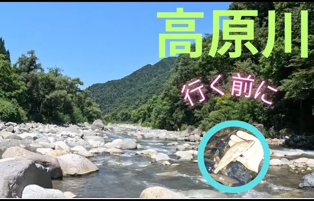 【２０２５年7月２5 日　高原川鮎釣り。行く前に見てください】