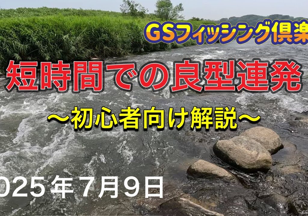 《鮎釣り》短時間での良型連発　初心者向け解説アバンサー75M【Vol.39】GSフィッシング倶楽部