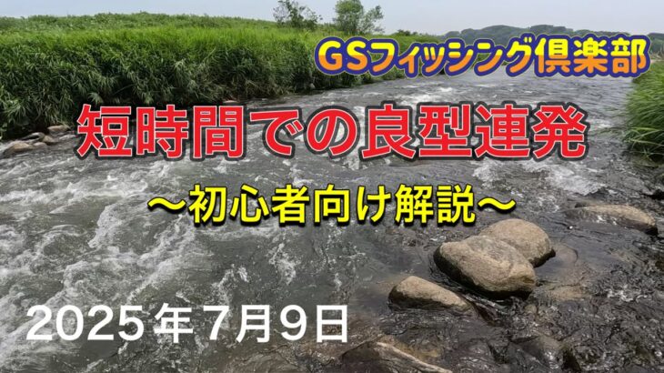《鮎釣り》短時間での良型連発　初心者向け解説アバンサー75M【Vol.39】GSフィッシング倶楽部