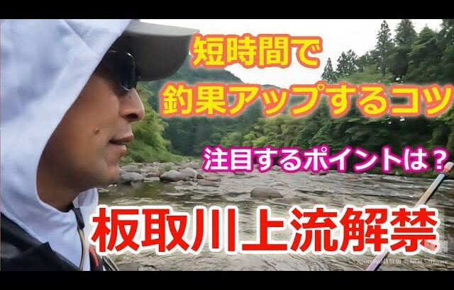 #85【板取川上流解禁】短時間で釣果アップするには？