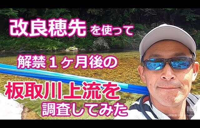 #87【板取川上流調査】改良穂先で鮎の反応をみてみた