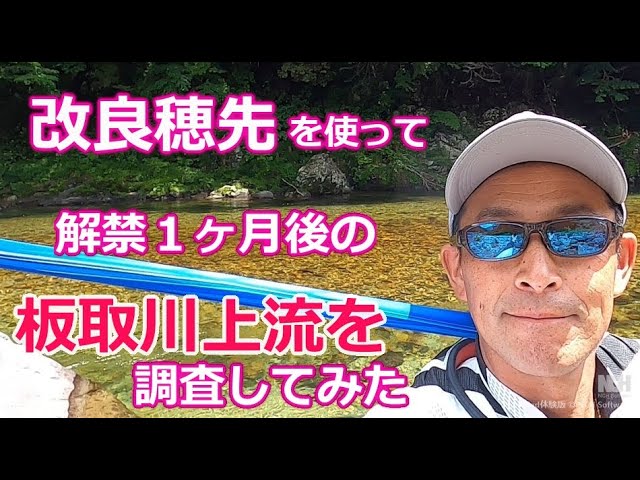 #87【板取川上流調査】改良穂先で鮎の反応をみてみた