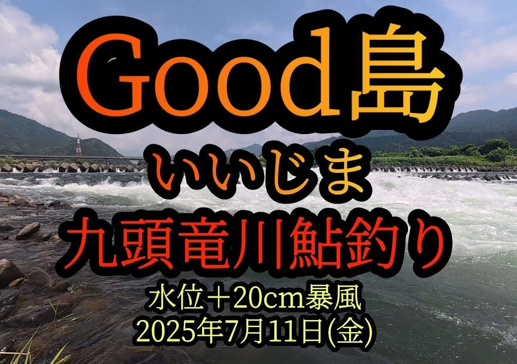 速報です！　Good島(いいじま)　九頭竜川鮎釣り　2025年7月11日