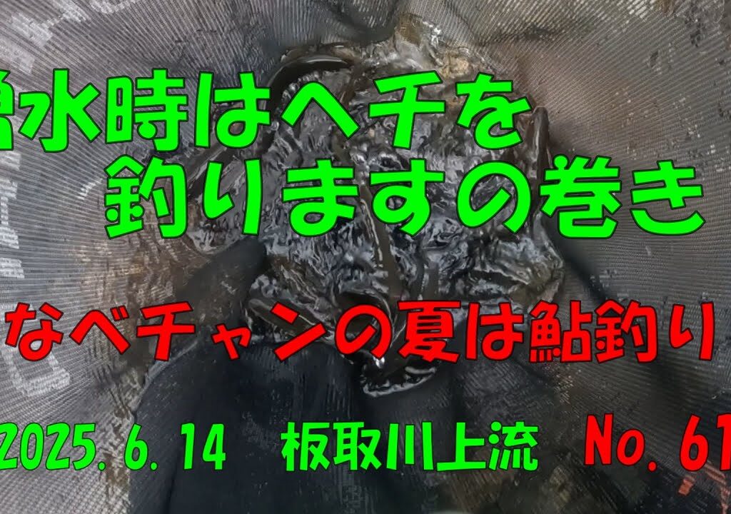 増水時はへチを釣りますの巻き‼　なべチャンの夏は鮎釣り　No.61　2025 6 14 板取川上流