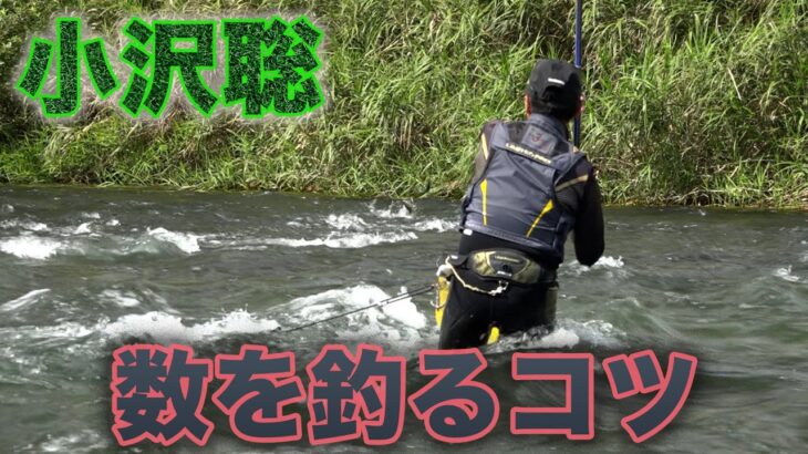 鮎釣り 小沢聡 数を釣るコツ