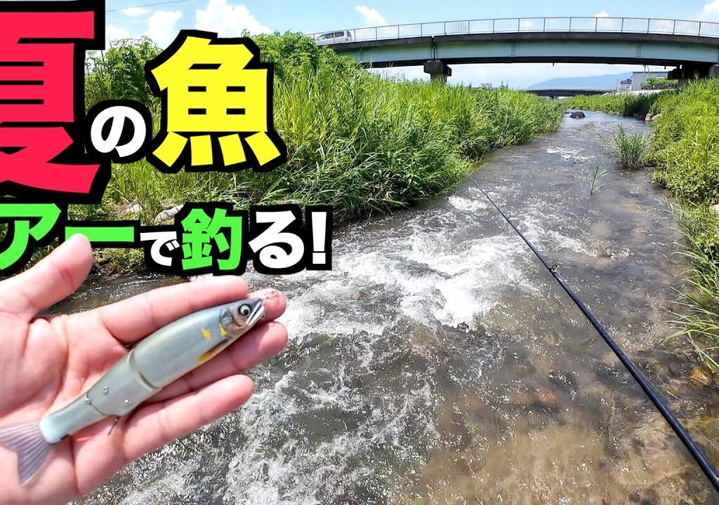 本物そっくりな最新鮎ルアーで夏の魚を釣ってみた！必見アユイングスタート！