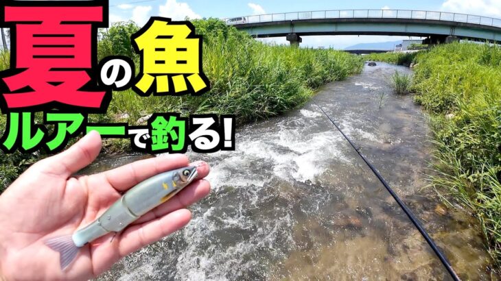 本物そっくりな最新鮎ルアーで夏の魚を釣ってみた！必見アユイングスタート！
