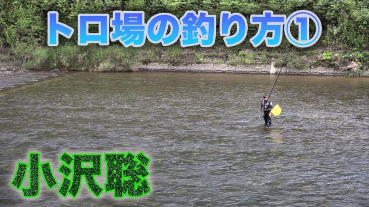 鮎釣り 小沢聡 トロ場の釣り方①