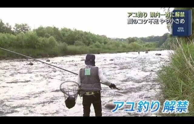 宮城県でアユ釣りが解禁　早朝から多くの釣り人たちが楽しむ
