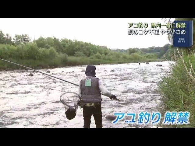 宮城県でアユ釣りが解禁　早朝から多くの釣り人たちが楽しむ