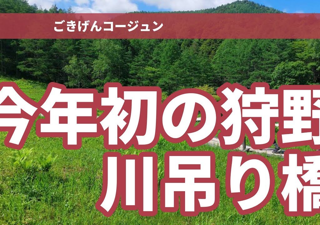 狩野川の鮎釣り、おじさんの水遊び、最高に気持ちいい時間ですね～