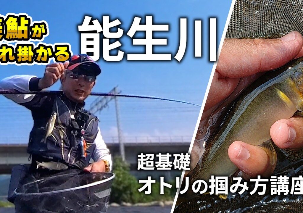鮎釣り 釣れる川！能生川の午後の入れ掛かりを堪能！初心者オトリの掴み方講座も