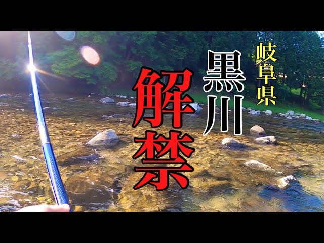 【鮎釣り】岐阜県黒川解禁！ワクワクがダダ漏れに笑
