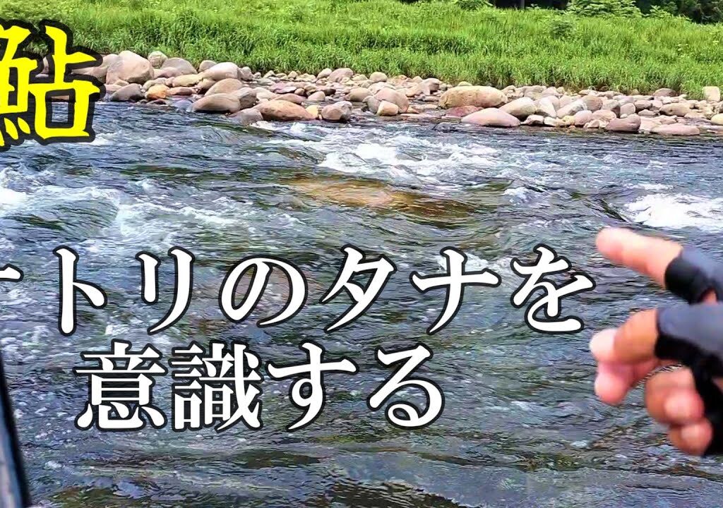 鮎釣り　泳がせて掛かる鮎と引いて掛かる鮎／長良川 郡上