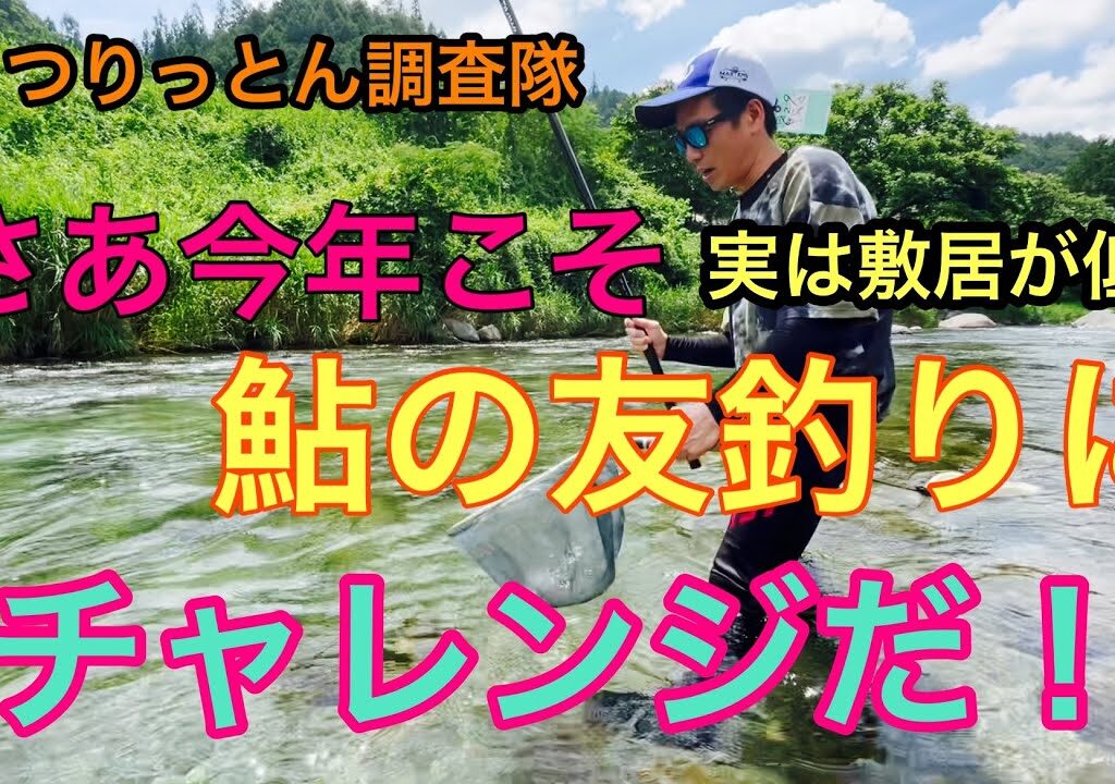 観ると鮎の友釣りが始めたくなる❤️