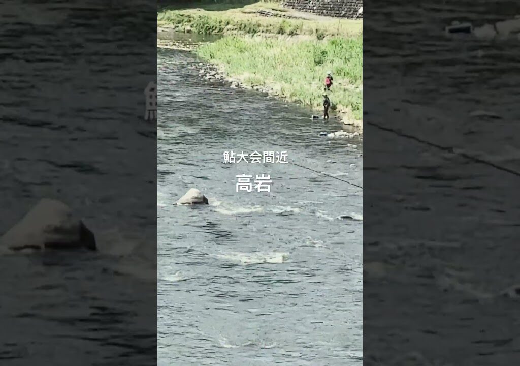 【那珂川 鮎釣り】マスターズ間近の釣り師達 #那珂川 #鮎釣り