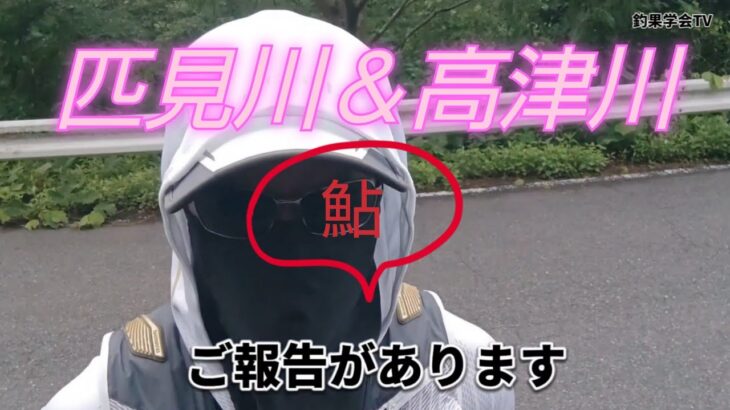 匹見川と高津川の鮎釣り。ついでにご報告。