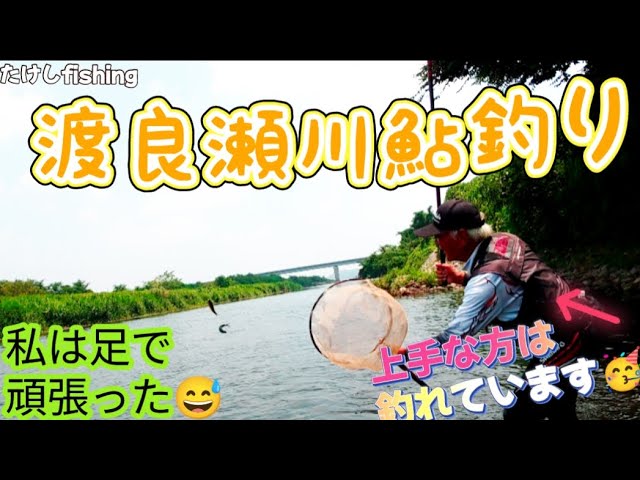 [鮎釣り]渡良瀬川私は拾い釣り🥳釣れる方は大釣り？🧐良いポイントは早い者勝ち１番鮎はあなたの者🥳