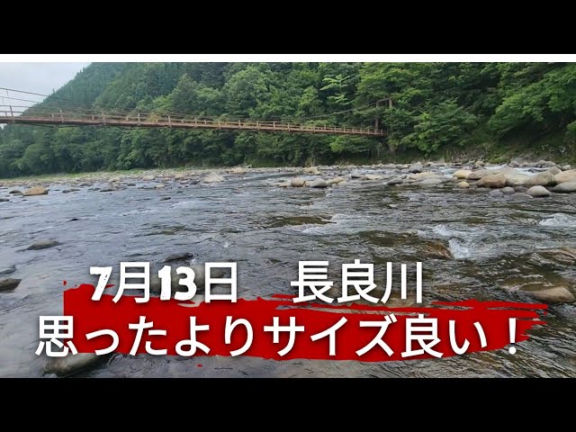 かんじの瀬でもいいのが掛かりました！
