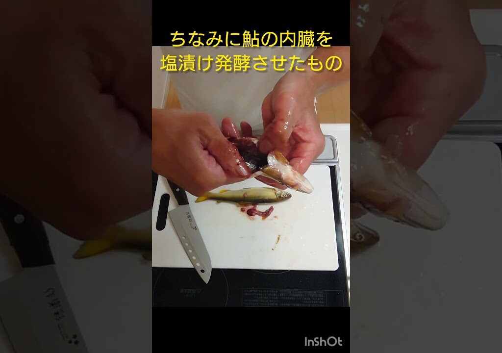 【おっさんが鮎の下処理をするだけの動画】😎