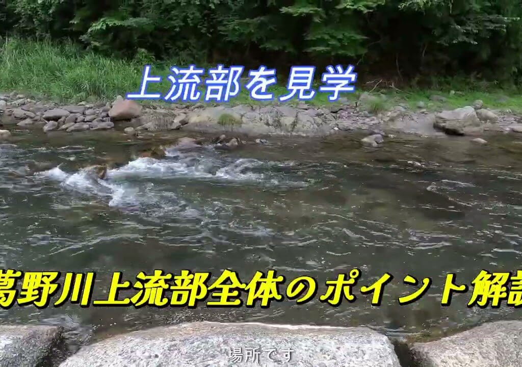 桂川水系・葛野川（かずのがわ）の上流部で良型アユの数を狙う～人気河川の穴場にて