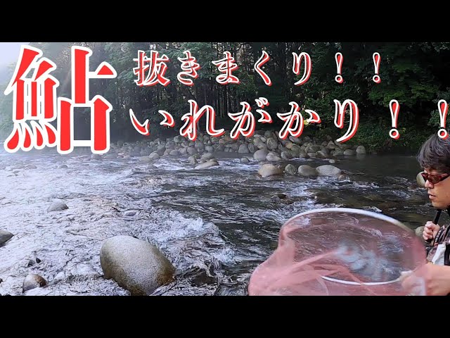鮎釣り爆釣の粕尾川解禁。粕尾川のポテンシャルを遊び尽くす！