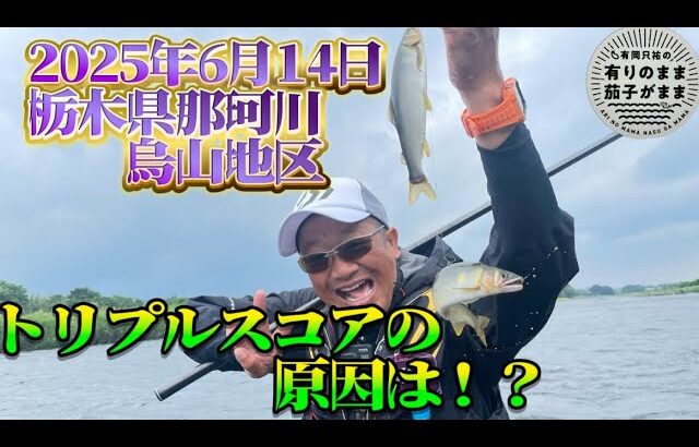 究極系現る優しく誘うスナイパー【鮎釣り】
