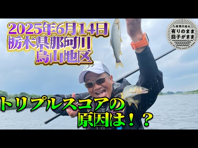 究極系現る優しく誘うスナイパー【鮎釣り】