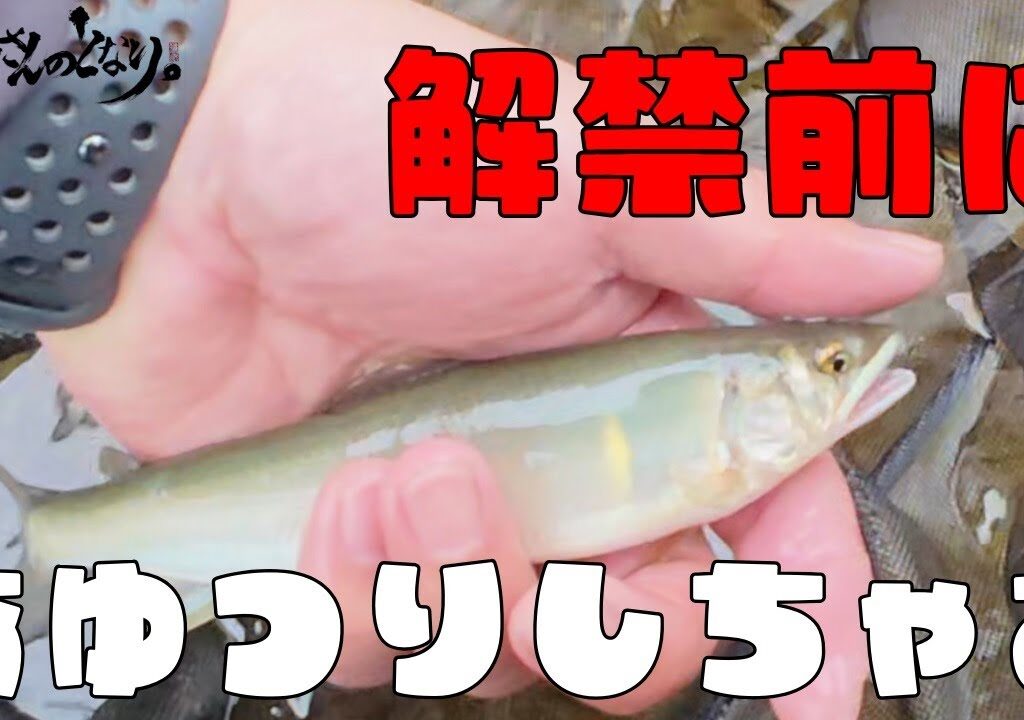 【釣欲爆発】北海道民、鮎を求めて東京出張ついでに秋川へ…