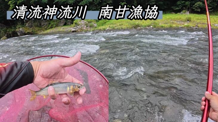 【群馬県】清流神流川で鮎釣り