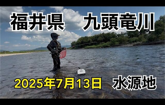 今年初の九頭竜川！釣果はいかに？！
