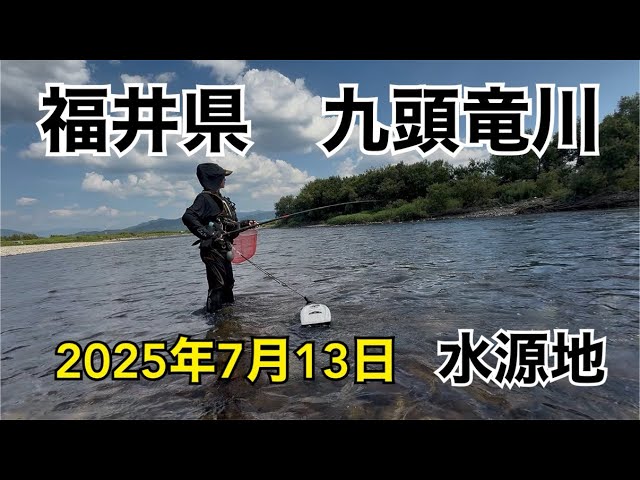 今年初の九頭竜川！釣果はいかに？！