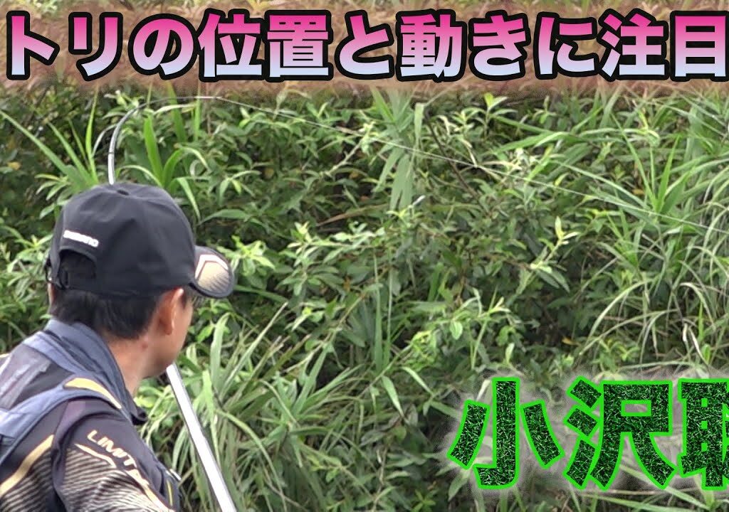 鮎釣り 小沢聡 オトリの位置と動きに注目③