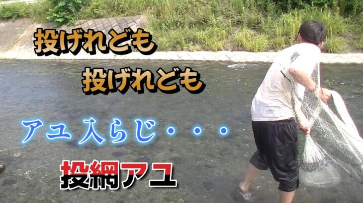 【大人の川遊び】投げれども投げれどもアユ入らじ　投網