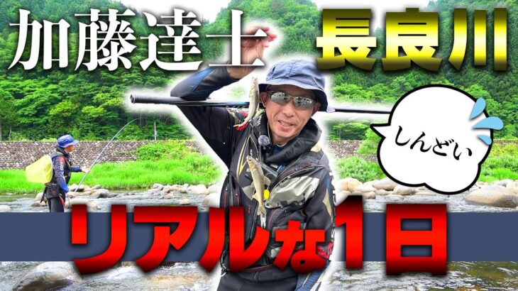 絶賛釣り荒れ中の長良川で確実に釣る方法はあるんだが…【鮎釣り】