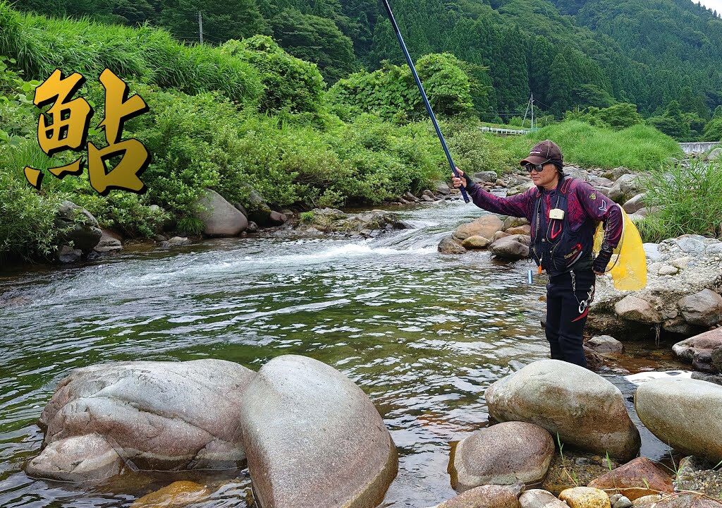 魅惑の小河川　秘密のポイント巡り　鮎